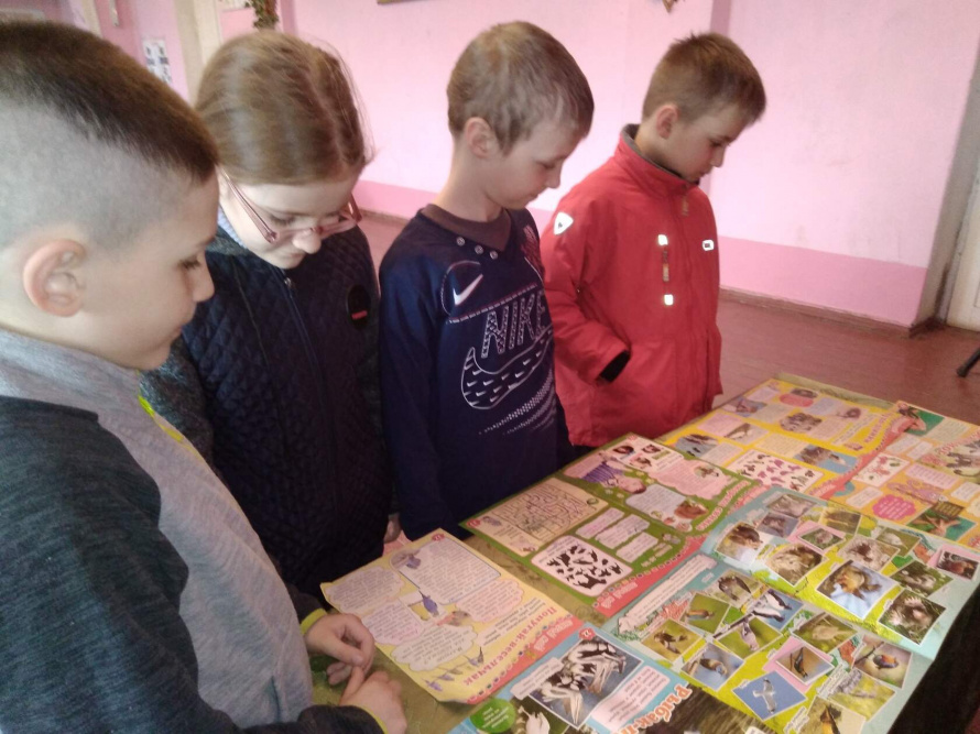 В Волоконовском сельском клубе прошёл экологический час "Сказочный мир природы ". 